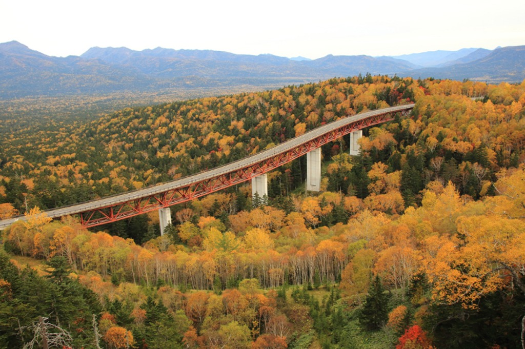 Đảo Hokkaido, phía bắc Nhật Bản, là thiên đường cho những chặng đường trường. Các tuyến đường phổ biến bao gồm bán đảo Shiretoko và đèo Mikuni. Cầu Matsumi (ảnh) tại đèo Mikuni trên đường cao tốc Nukabira có độ cao 1.139 m, lái xe qua đây vào mùa hè với cảnh quan bao phủ bởi màu xanh thẫm của những cây đại thụ, còn mùa thu lại khoác lên mình một biển lá thu rực rỡ sắc màu. ẢNH: MEGURI JAPAN Đảo Hokkaido, phía bắc Nhật Bản, là thiên đường cho những chặng đường trường. Các tuyến đường phổ biến bao gồm bán đảo Shiretoko và đèo Mikuni. Cầu Matsumi (ảnh) tại đèo Mikuni trên đường cao tốc Nukabira có độ cao 1.139 m, lái xe qua đây vào mùa hè với cảnh quan bao phủ bởi màu xanh thẫm của những cây đại thụ, còn mùa thu lại khoác lên mình một biển lá thu rực rỡ sắc màu. ẢNH: MEGURI JAPAN