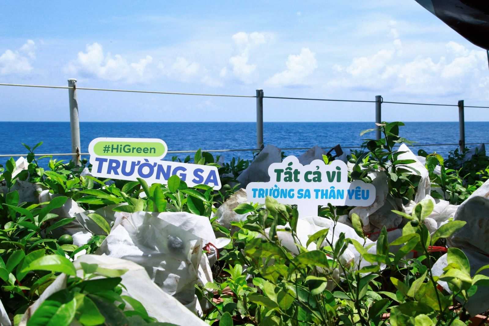 Thượng tá Chu Hải Công và câu chuyện niềm tin xanh nơi đầu sóng